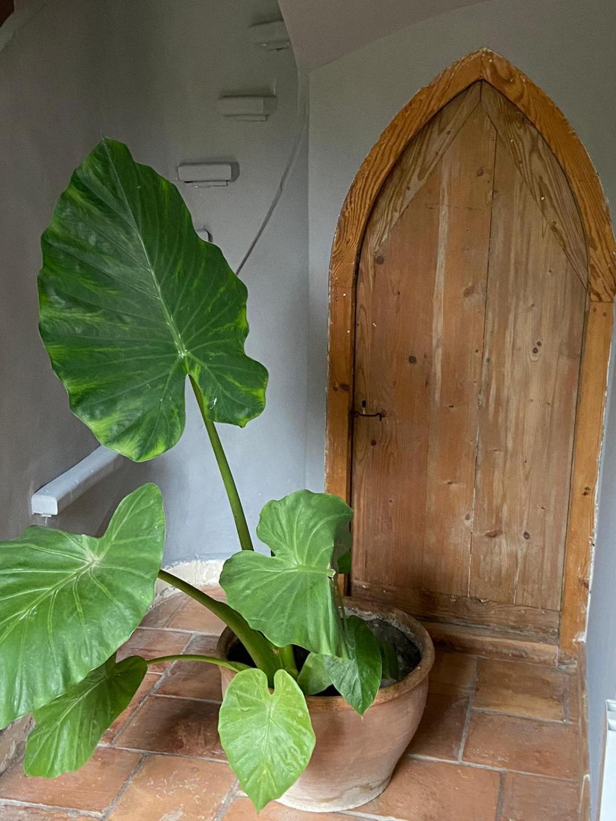 Mas Carita Bed & Breakfast Cabannes Ngoại thất bức ảnh